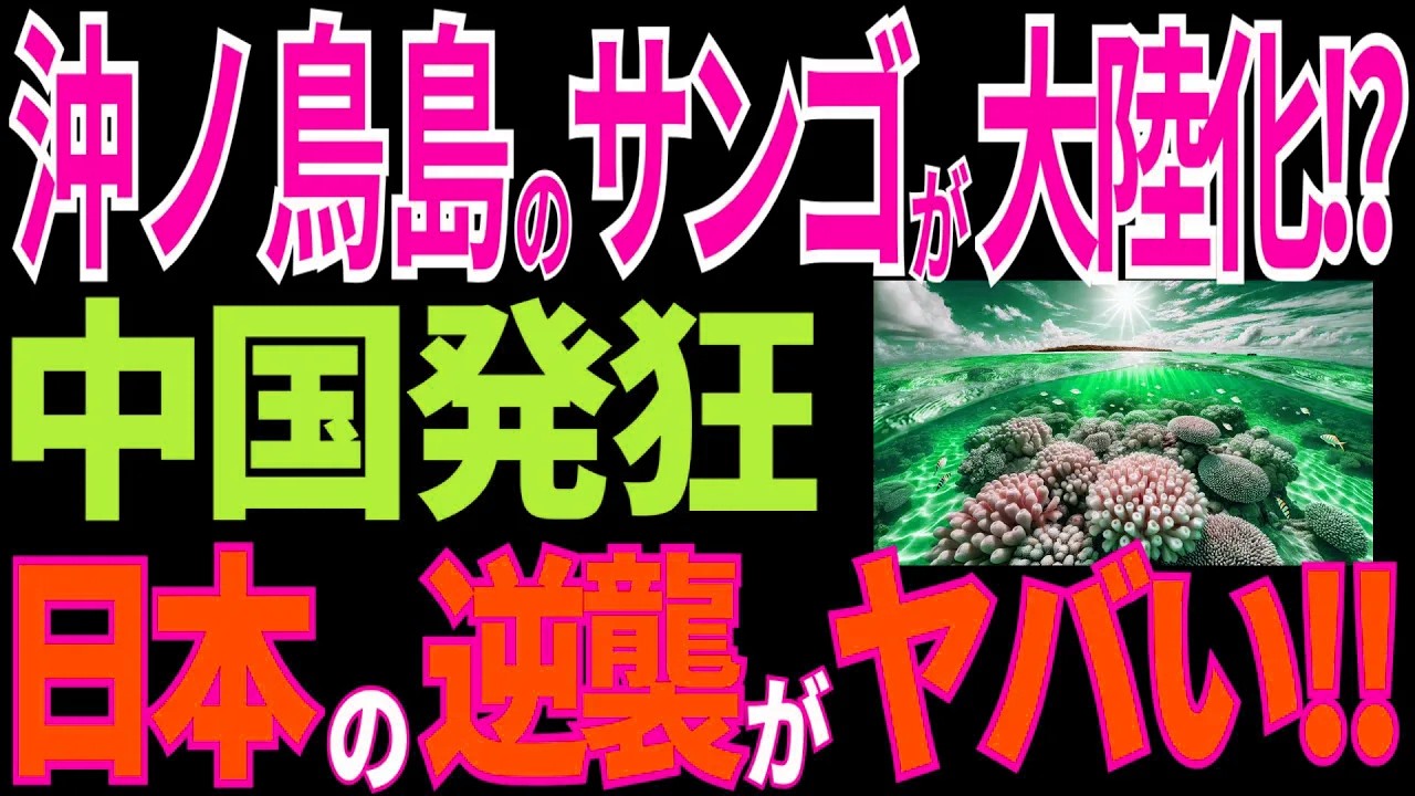 沖ノ鳥島のサンゴで領地拡大！？進化が止まらない！日本の大逆襲に中国発狂！