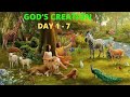 Gods creation  day 17  the story of creation 