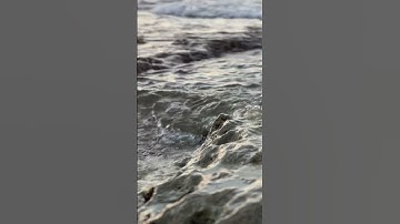 #quran #اكسبلور #تلاوة_خاشعة #قرآن #عبد_الرحمن_شعبان #عبدالرحمن #المصحف