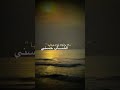 الشاب حسني شيرا لي نبغيها