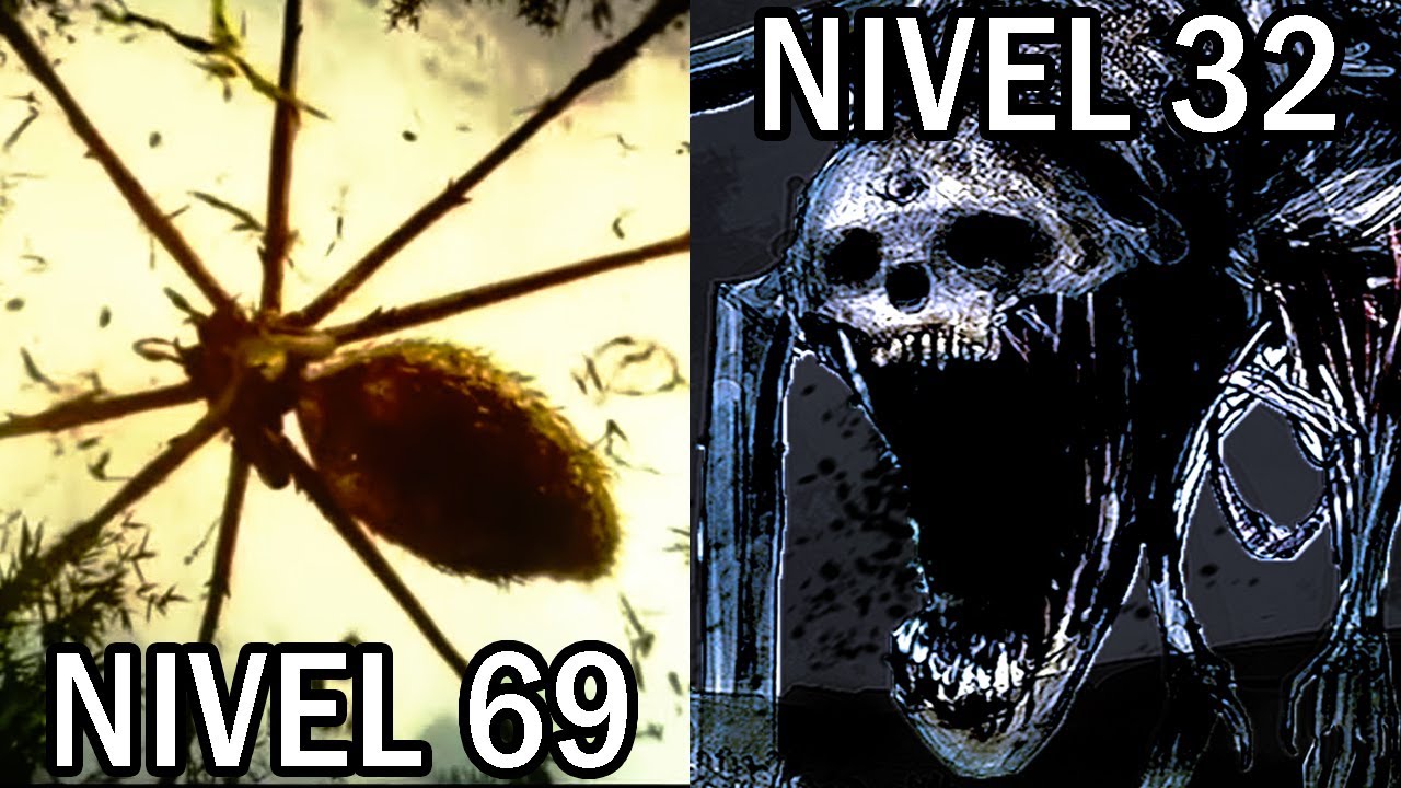Los 10 Niveles Más Peligrosos y Aterradores de los Backrooms ...