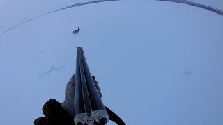 охота на зайца.только выстрелы(2018-2019) охота на зайца.только выстрелы(2018-2019)