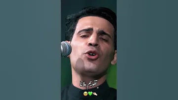 ستوريات عباس عجيد العامري 