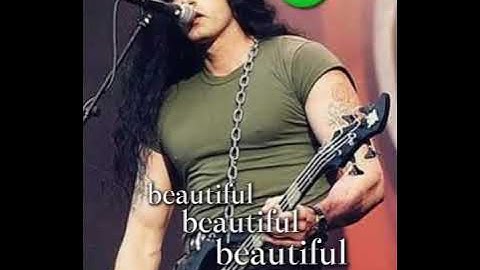 #typeonegative #petersteele