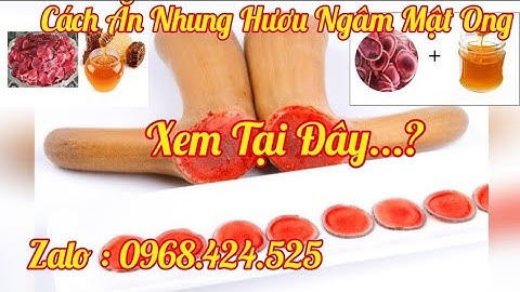 Hướng dẫn cách ăn nhung hươu ngâm mật ong tốt nhất - Nhung Hươu Hươu Giống