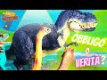 OBBLIGO o VERITÀ? 😏❓ Arex sfida i Dinosauri del Parco con richieste imbarazzanti! 😅 [Challenge]