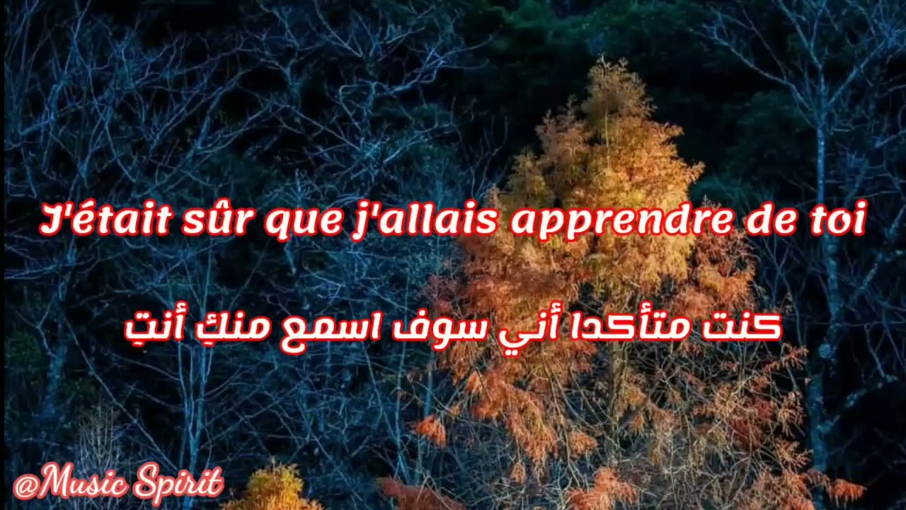 Vegedream ft tayc Pour nous lyrics مترجمة YouTube