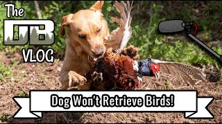 My Dog Won't Retrieve Dead Birds | Ep: #147