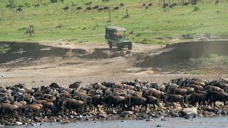 Keeping you safe on safari: our hygiene protocols