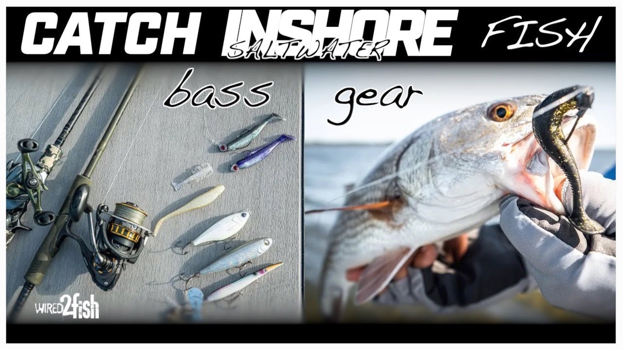 Inshore Saltwater Fishing  A Starter Gear List - Wired2Fish