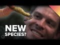 Exploring the Amazon Rainforest and the Mystery of Species