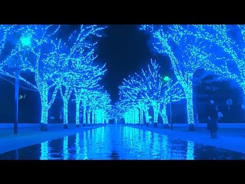 青の洞窟 SHIBUYA -ILLUMINATION -