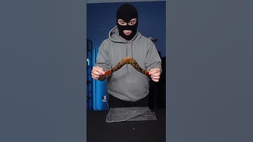 Đây Là Chiếc Phi Tiêu Mạnh Nhất Thế Giới #viral #xuhuongyoutube #funny