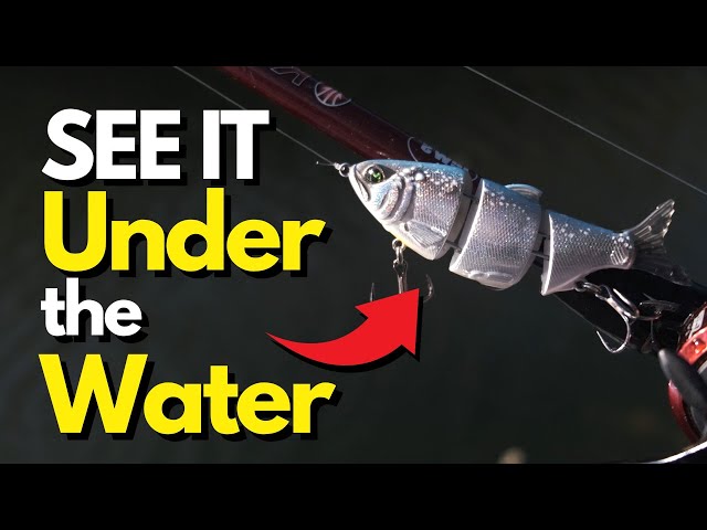 This Lure Finds Bass - Period  Basics of Hard Body Swimbaits