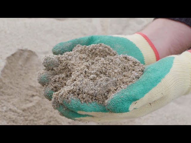 Watch Daltons No 1 Washed Sand on YouTube.