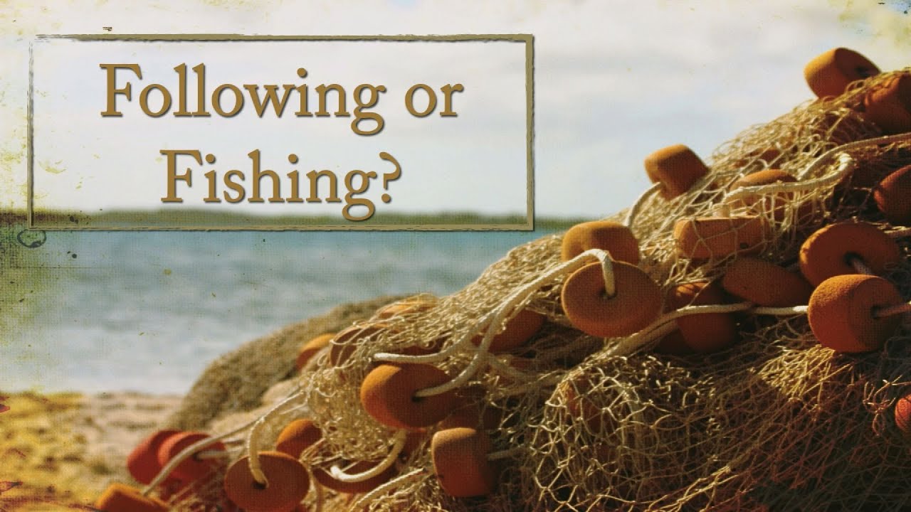 Fish Following Following or Fishing? - YouTube