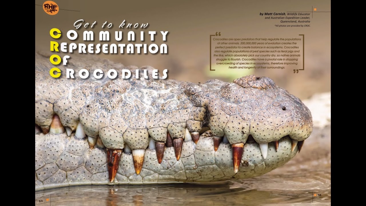 Crocodiles and Caimans