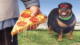 Chop LOVES Pizza! (GTA 5) screenshot 3