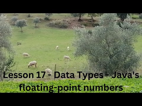 Lesson 17 - Data Types - Java's floating-point numbers #java #programming #programação