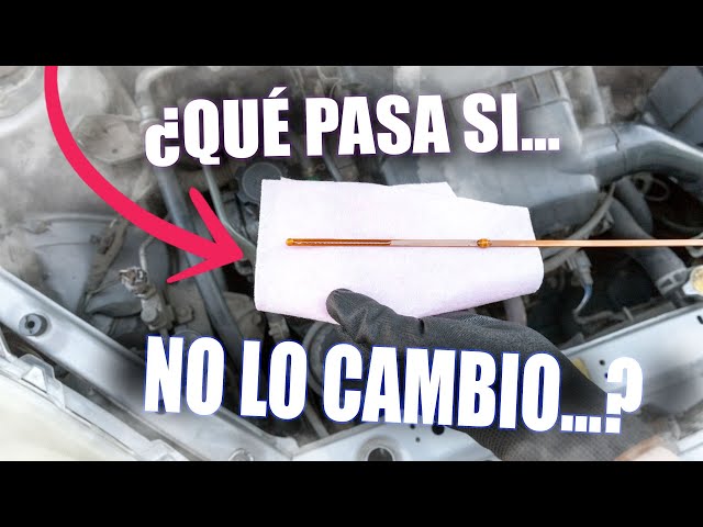 La próxima vez que eches aceite en tu coche te arrepentirás de no