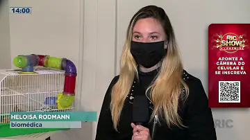 Tem como ter um esquilo?
