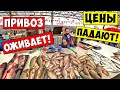 Знаменитый Одесский Рынок ПРИВОЗ / Делаем Базар / Привоз оживает Цены падают!