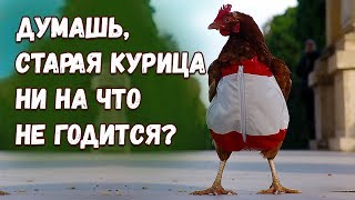 Самые вкусные куриные котлеты. Главное правило вкусного фарша! Самые вкусные куриные котлеты. Главное правило вкусного фарша!