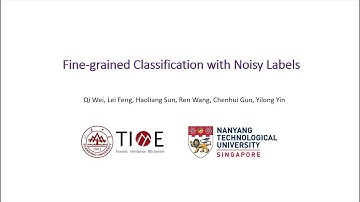 Video for CVPR 2023 paper "Fine-grained Classification with Noisy Labels"