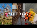 Petit vlog en attendant une analyse 