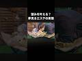 犬用のマッサージ店をオープンしました！