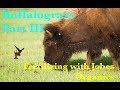 Feeding the Buffalograss with Jobe&#39;s Organics Lawn Food