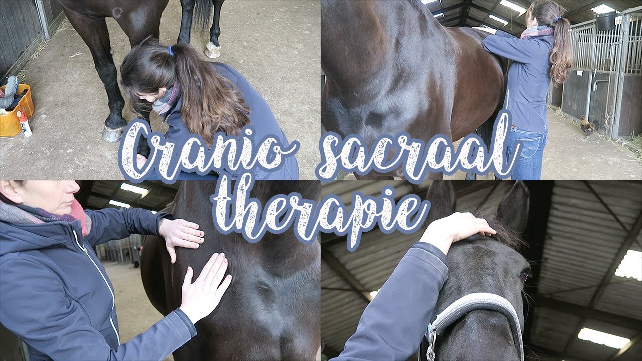 CRANIO SACRAAL THERAPIE - VLOG #90