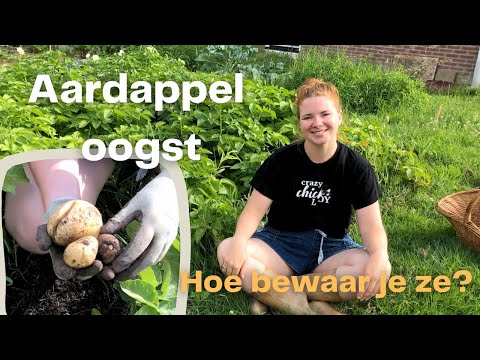 Video: Wat was die doel van die staalploeg?