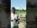 farming