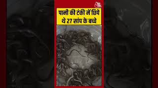 पानी की टंकी में छिपे थे 27 सांप के बच्चे | #haridwar #snake #viralvideo
