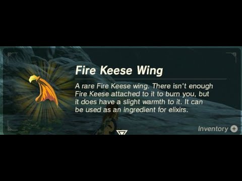 Fire Keese Wing | Farming Location | Zelda BOTW