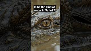 Worlds most dangerous animals that you never want to meet ! Top 5 #nobatidao #facts #animals #danger