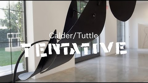 Explore "Calder/Tuttle: Tentative" with Richard Tuttle and Alexander S. C. Rower