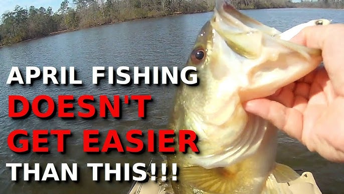 The BEST Chatterbait Trailer IS NOT What You Think! (Underwater Proof!!) 