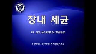 장관계감염세균