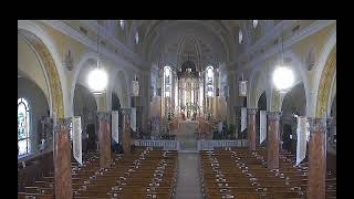 May 5:  Tuesday 5th Week of Easter