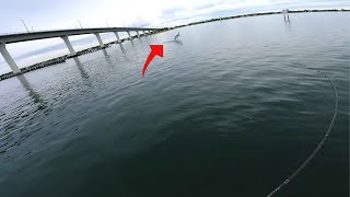 Hooked A Monster Fish - Indian River Fishing