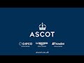 Molly Ollys Wishest Wins The SBK Mares' Hurdle (Grade 2)