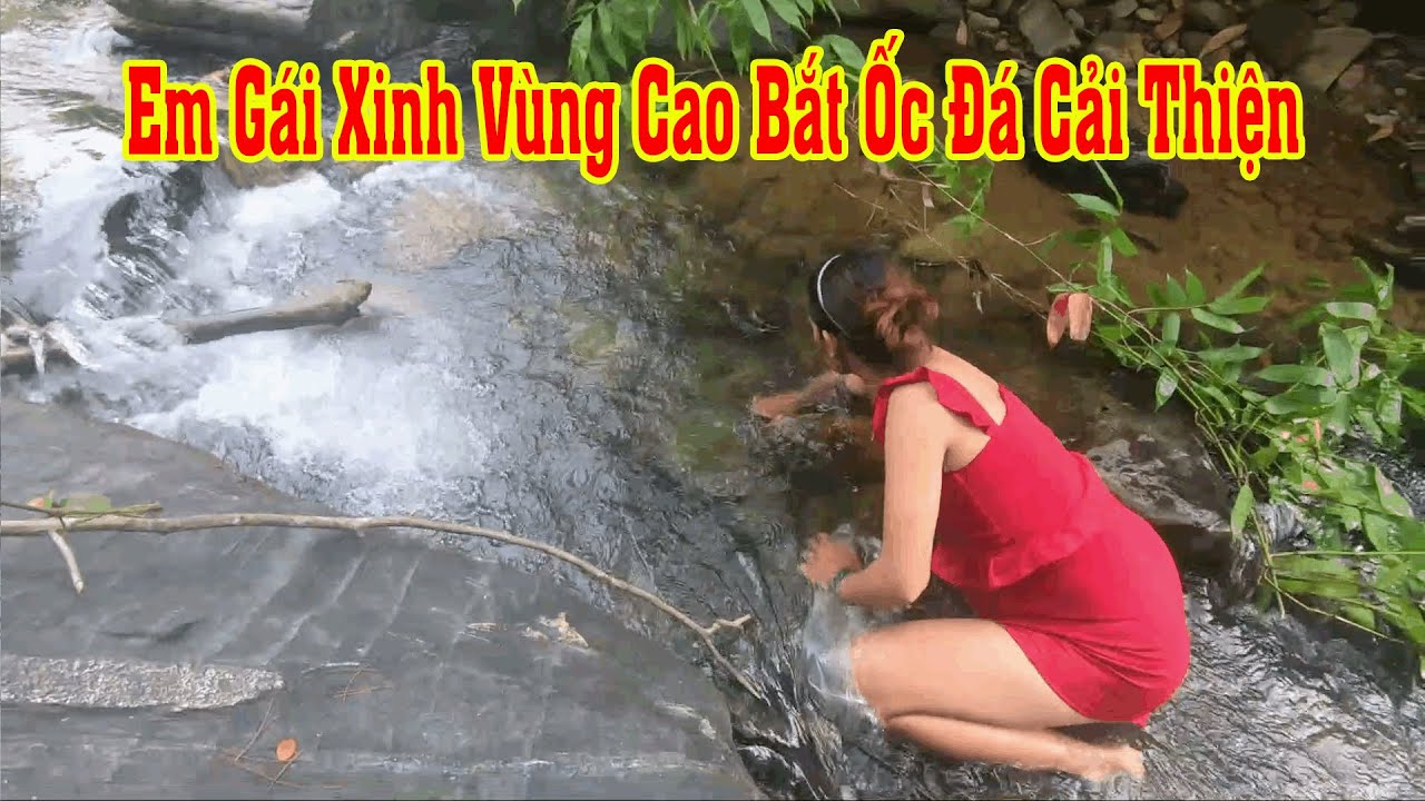 #10 Gái Xinh Vùng Cao Bắt Ốc Đá Cải Thiện Bữa Ăn P1... - youtube