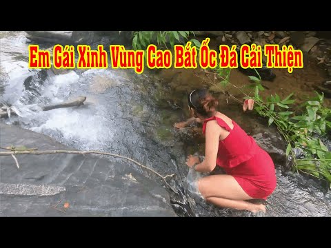 Video #10 Gái Xinh Vùng Cao Bắt Ốc Đá Cải Thiện Bữa Ăn P1... - youtube