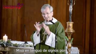 Evangelio y homilía del Domingo 27 de septiembre de 2020 (en lengua de signos para sordos)