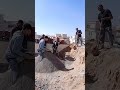 أنا مش هشتغل معاك تآني