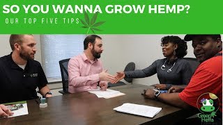 So You Wanna Grow Hemp? Our Top 5 Tips For Beginners