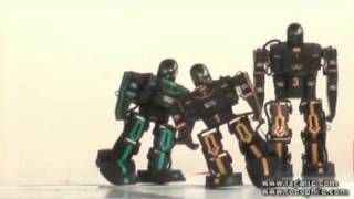 Robophilo 2009 HKBPE