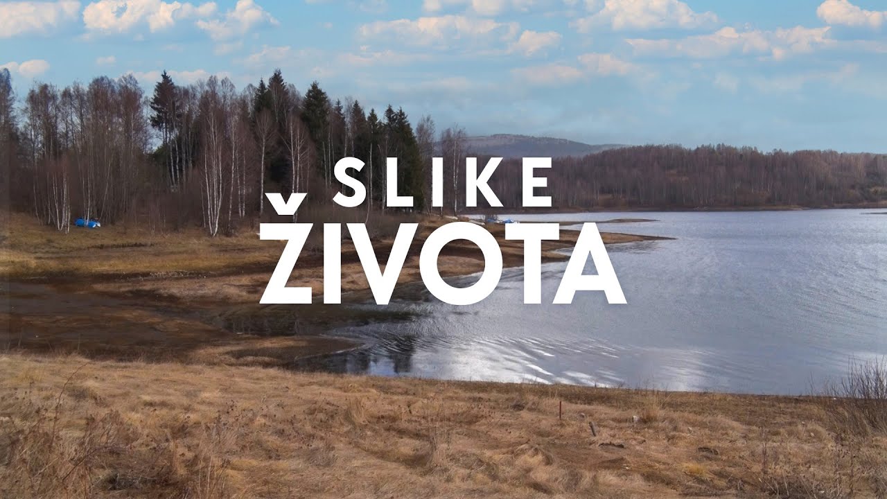 Odbrane Vlasine - Slike života